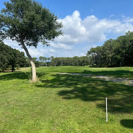 Ocean And Forest Golf