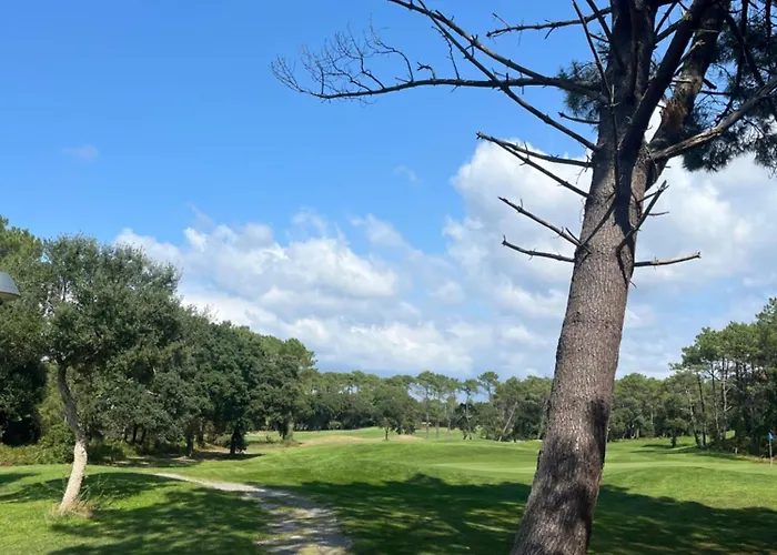 Lejlighed Ocean And Forest Golf Moliets-et-Maa