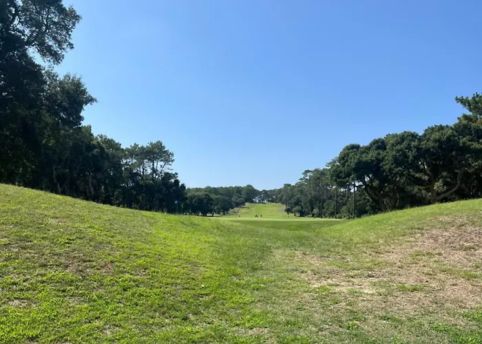 Ocean And Forest Golf Lejlighed