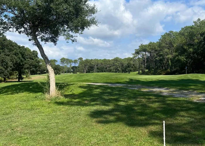 Ocean And Forest Golf