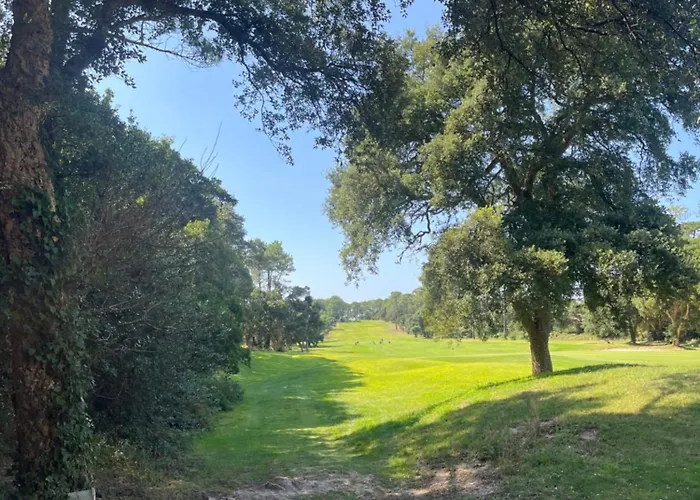 Ocean And Forest Golf Lejlighed